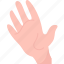 hand, wrist, palm, fingers, organ 