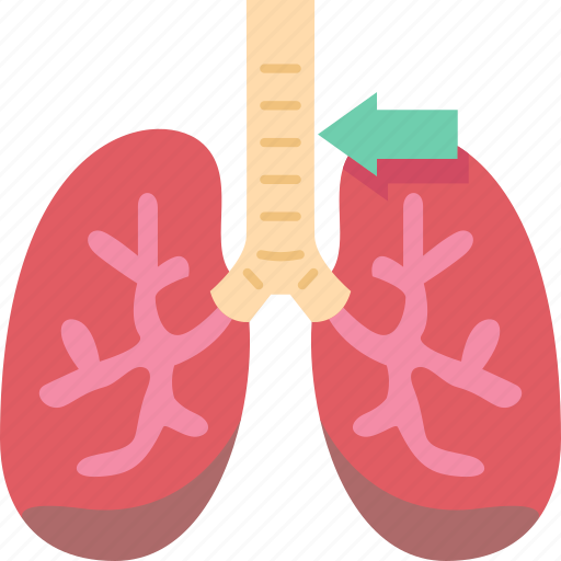 Trachea, respiratory, organ, anatomy, human icon - Download on Iconfinder