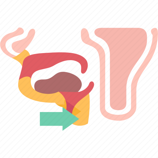 Larynx, tube, pharynx, respiratory, organ icon - Download on Iconfinder