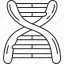 dna, genetic, chromosome, human, biology 