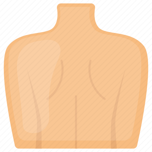 Back, human, dorsal, body, vertebrate, neck, shoulder icon - Download on Iconfinder
