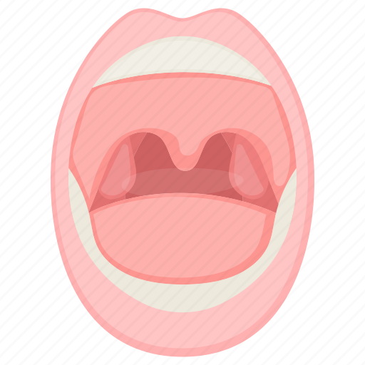 Mouth, teeth, cavity, lips, throat, tonsils icon - Download on Iconfinder