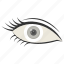 eye, optic, vision, see, pupil, eyelid, iris 