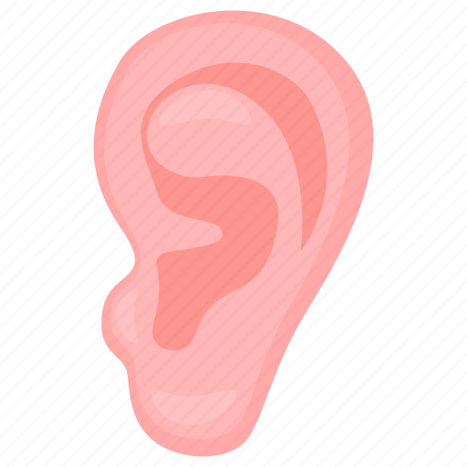 Ear, hearing, sound, auditory, eardrum, ear canal icon - Download on Iconfinder