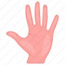hand, palm, human, fingers, touch