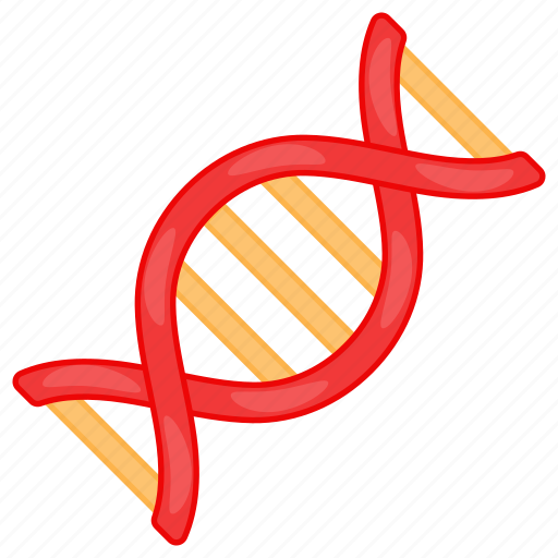 Dna, genetic, nucleotides, helix, structure, sciene icon - Download on Iconfinder