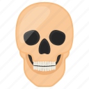 skull, human, body part, cranium, teeth, eyes, nose