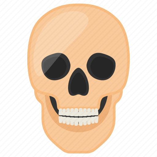 Skull, human, body part, cranium, teeth, eyes, nose icon - Download on Iconfinder