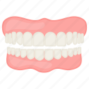 teeth, lips, muscle, cavity, dentistry, mouth
