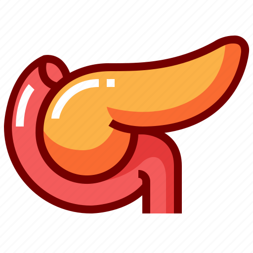 Anatomy, human, internal, organ, pancreas icon - Download on Iconfinder
