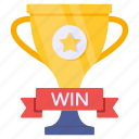 award, reward, achievement, success, trophy