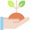 sapling, plant, nature, ecology, hand