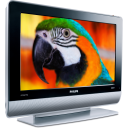 view, bird, parrot, monitor, plazma, nvtv