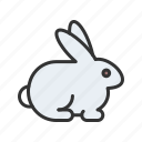 rabbit, game, wildlife, food, meat, cook, cookout, grill