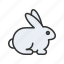 rabbit, game, wildlife, food, meat, cook, cookout, grill 