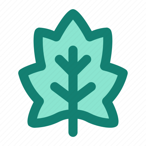 Maple, leaf, autumn, fall, plant icon - Download on Iconfinder