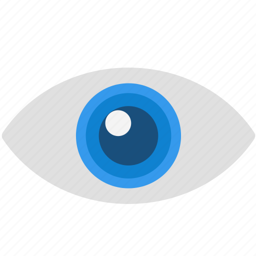 Eye, explore, search, view, vision icon - Download on Iconfinder