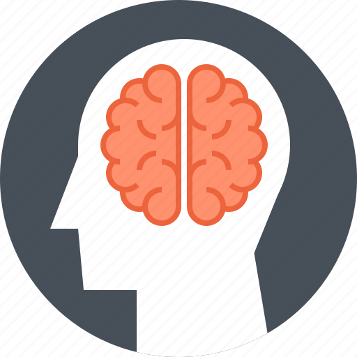 Brain, head, human, idea, intelligence, mind, thinking icon - Download on Iconfinder