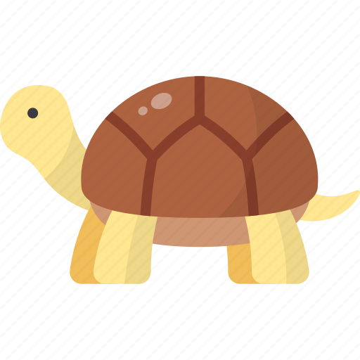 Tortoise, reptile, wildlife, zoo, animal, shell icon - Download on Iconfinder