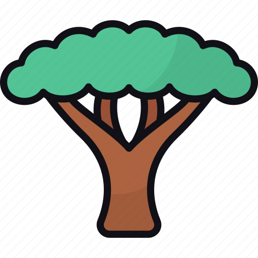 Acacia tree, nature, botanical, forest, wood icon - Download on Iconfinder