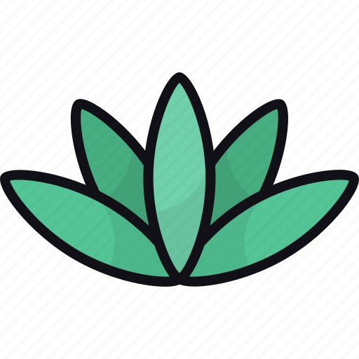 Agave, leaves, nature, botanical, plant icon - Download on Iconfinder