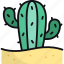cactus, plant, cactaceae, desert, nature, botanical 