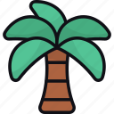 palm tree, date palm, nature, desert, sahara, tropical