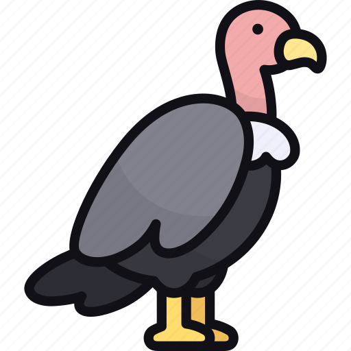 Vulture, wild animal, bird, zoo, wildlife icon - Download on Iconfinder