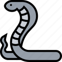 cobra, snake, serpent, animal, venomous