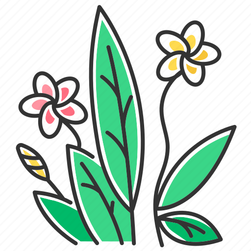 Exotic, flower, frangipani, indonesian, plant, plumeria, tropical icon - Download on Iconfinder
