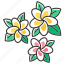 exotic, flower, frangipani, indonesian, plant, plumeria, tropical 
