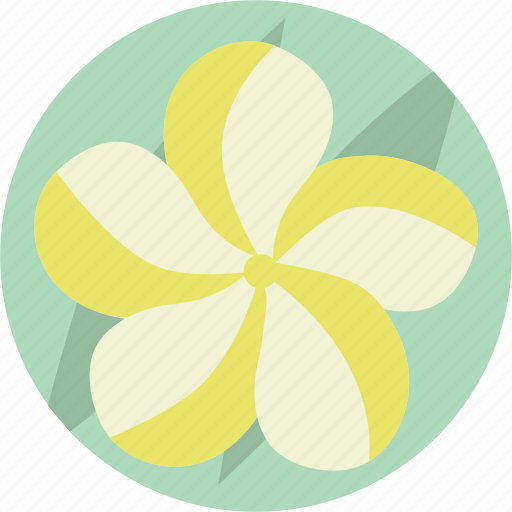 Decoration, flower, frangipani icon - Download on Iconfinder
