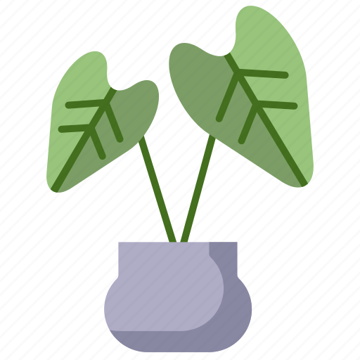 Baby, rubber, plant, copy icon - Download on Iconfinder
