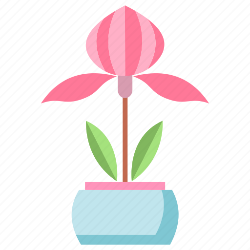 Ladys, slipper, orchid icon - Download on Iconfinder