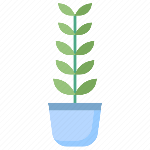 Zz, plant icon - Download on Iconfinder on Iconfinder
