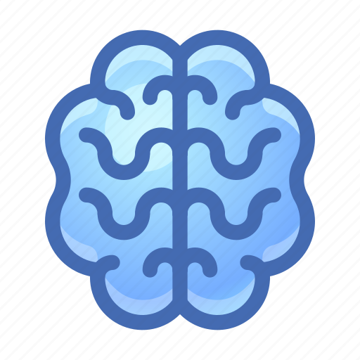 Brain, organ, anatomy icon - Download on Iconfinder
