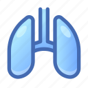 lungs, organ, anatomy