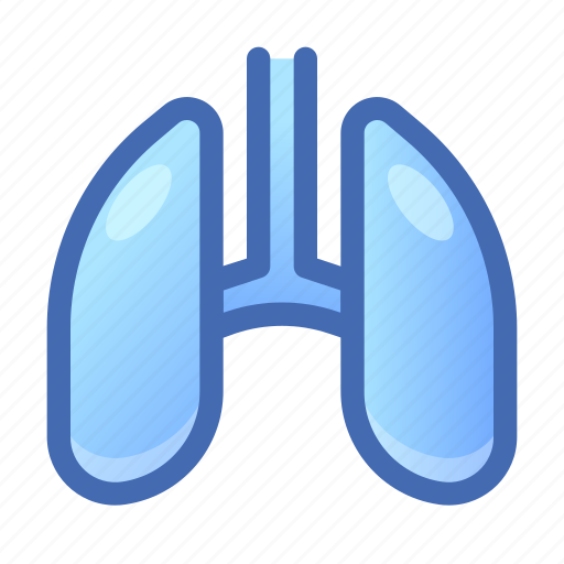 Lungs, organ, anatomy icon - Download on Iconfinder