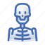 skeleton, x, ray, xray 