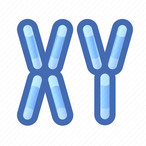 Chromosomes, gene, xy icon - Download on Iconfinder