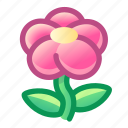 flower, gift