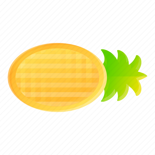 Woman, mattress, pineapple, inflatable, party, beach icon - Download on Iconfinder