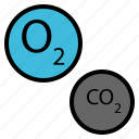 air, carbon, dioxide, nature, oxygen