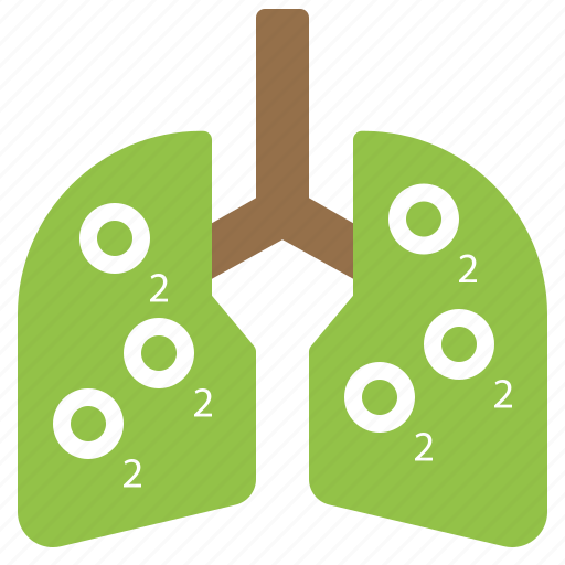 Anatomy, lung, organ, pulmonology icon - Download on Iconfinder