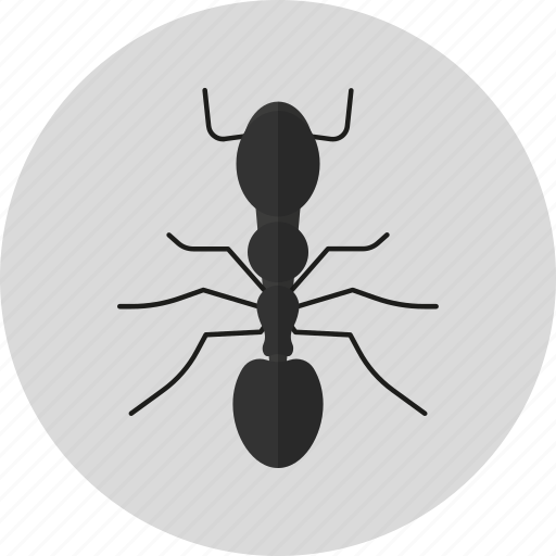 Animals, ant, bug, insect, nature icon - Download on Iconfinder