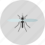 animal, bug, fly, insect, mosquito 