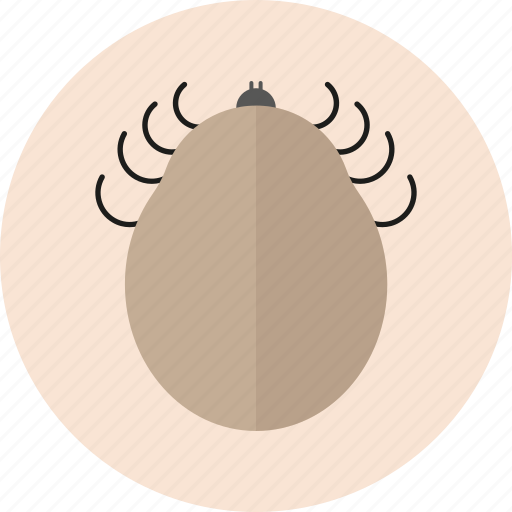 Animal, bug, flea, insect, wild icon - Download on Iconfinder