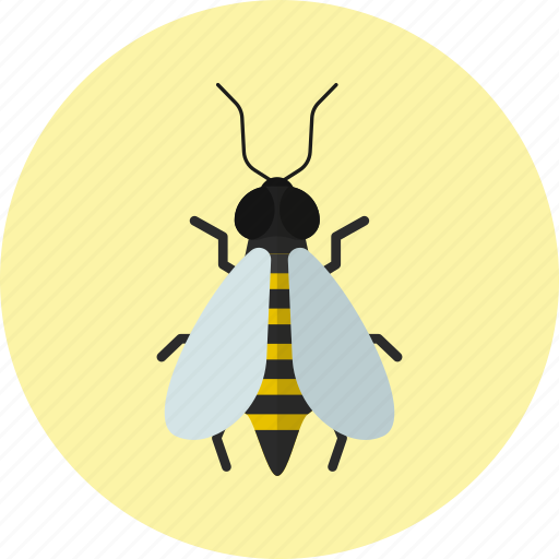 Animal, bee, bug, honey, insect icon - Download on Iconfinder