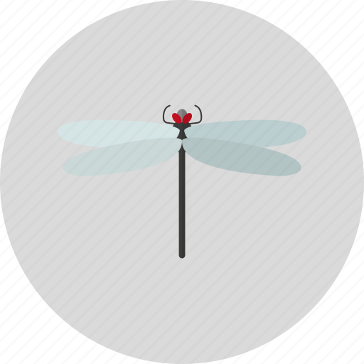 Animal, bug, dragonfly, fly, insect icon - Download on Iconfinder