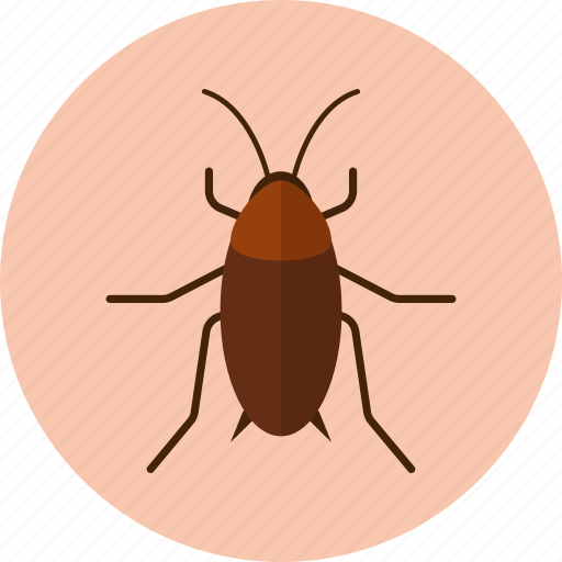 Animal, animals, bug, cockroaches, insect icon - Download on Iconfinder